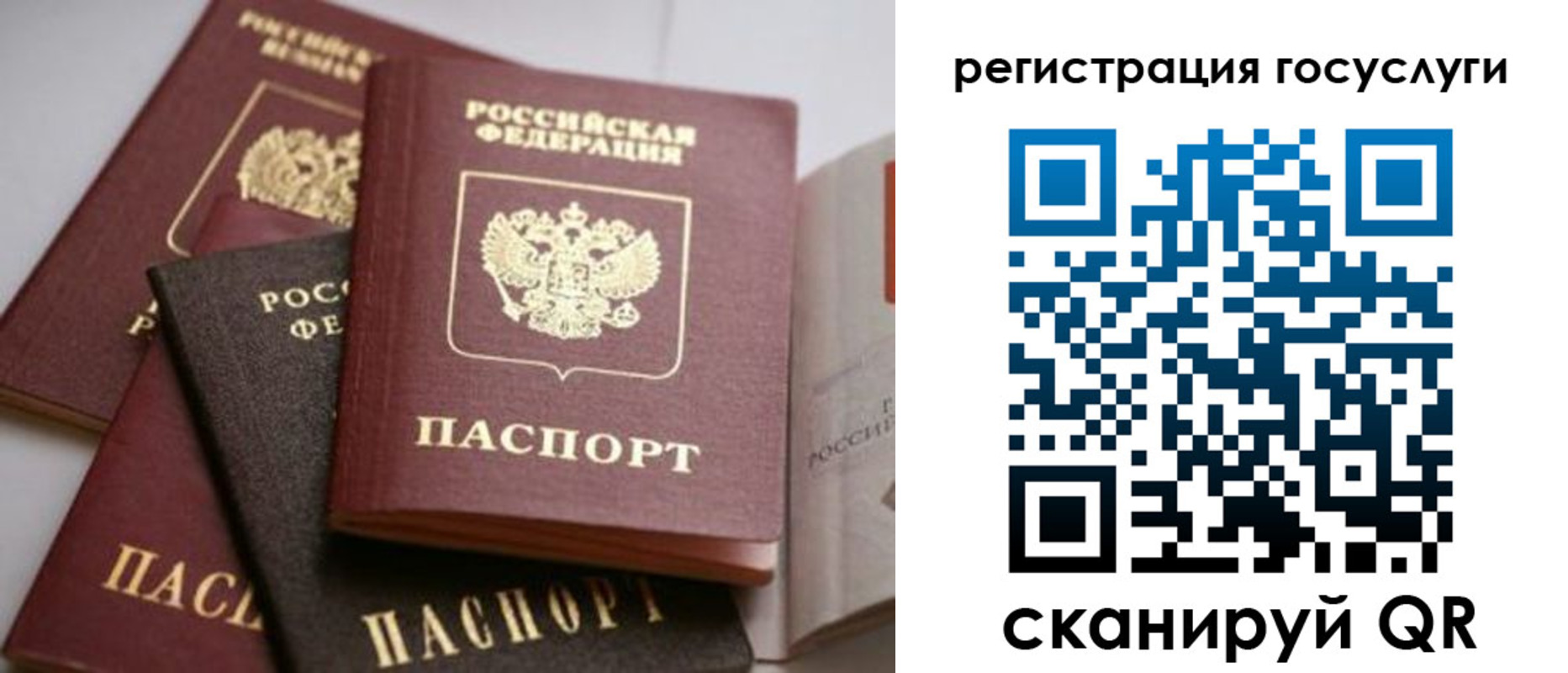прописка 2025 в Смоленске